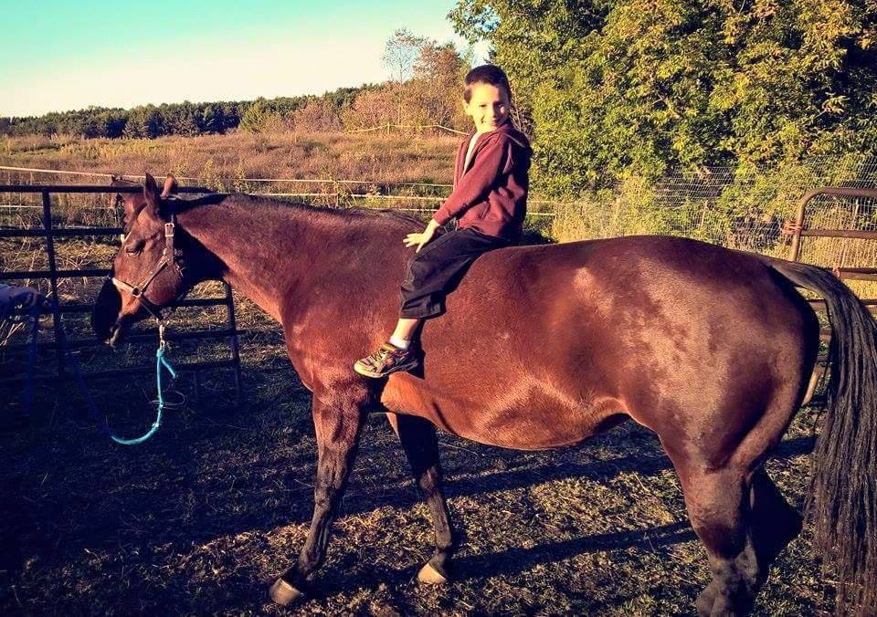 Heartland Equestrian Center