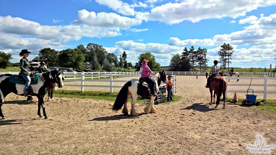 Pasture board